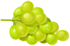 White Grape PNG Clipart Picture
