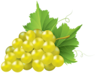 White Grape Transparent PNG Clip Art Image