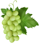 White Grapes Transparent Image