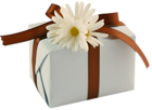 White Present with Brown Bow and Daisies Clipart