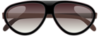 Large Sunglasses PNG Clipart Image