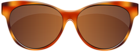 Sunglasses Brown PNG Clip Art Image