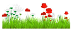 Art Grass Decor PNG Clipart
