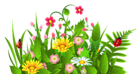 Cute Grass and Flowers PNG Clipart