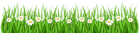 Daisies and Grass PNG Clipart