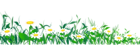 Daisies and Grass PNG Clipart Picture