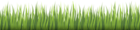 Fresh Grass Clipart Image