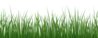 Fresh Grass PNG Transparent Clipart