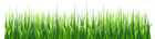 Fresh Green Grass Transparent Image
