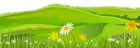 Grass Cover PNG Clip Art Image