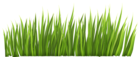 Grass Decor PNG Clipart Picture