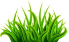 Grass Green PNG Clip Art Image