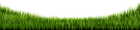Grass Green Transparent Image