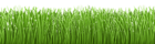 Grass Ground Cover Transparent PNG Clip Art Image