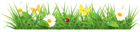 Grass Ground with Flowers Clipart Picture