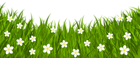 Grass Ground with Flowers PNG Clip Art Image