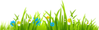 Grass Ground with Flowers PNG Clipart Picture