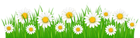 Grass Ground with White Flowers PNG Clip Art Image