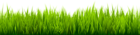 Grass Large Transparent Image