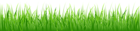 Grass PNG Clip Art Image