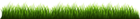Grass PNG Clipart Image