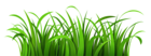 Grass Patch PNG Clipart
