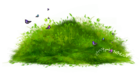 Grass Path Ground PNG Clipart