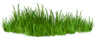 Grass Path Ground PNG Picture