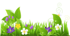 Grass and Flowers PNG Clipart | Gallery Yopriceville - High-Quality