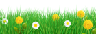 Grass and Flowers Transparent PNG Clip Art Image