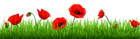 Grass with Beautiful Poppies PNG Clipart