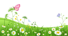 Grass with Butterflies Clipart Picture