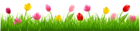 Grass with Colorful Tulips PNG Clipart | Gallery Yopriceville - High