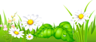 Grass with Daisies Ground Clipart