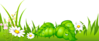 Grass with Daisies Ground PNG Picture