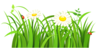 Grass with Daisies and Lady bugs PNG Clipart