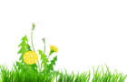 Grass with Dandelions PNG Clipart