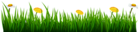 Grass with Flowers Transparent Image