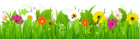 Grass with Flowers and Bee PNG Clipart