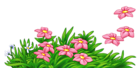 Grass with Pink Flowers PNG Clipart
