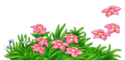 Grass with Pink Flowers PNG Clipart | Gallery Yopriceville - High