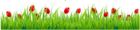 Grass with Red Tulips PNG Clipart