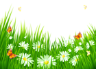 Grass with White Flowers PNG Clipart