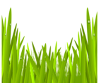 Green Grass Transparent PNG Clip Art Image