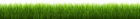 Green Grass Transparent PNG Image