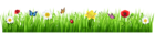 Spring Grass with Flowers PNG Clipart Picture