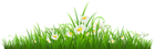 Transparent Grass with Chamomile PNG Clipart