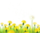 Transparent Grass with Dandelions Clipart
