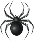 Black Spider PNG Transparent Clipart