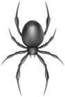 Black Spider Transparent Image